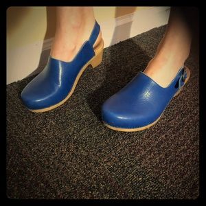 Dansko Clogs